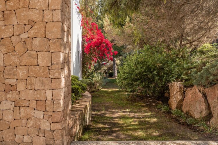 Villa Can Cuco Luxury Holiday Home Ibiza with Pool for Rent flowers
